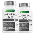 2Un Coenzima Q10 500Mg Pura e Concentrada 60 Cápsulas Ecomev 2Un Coenzima Q10 500Mg Pura e Concentrada 60 Cápsulas Ecomev