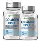 2Un Colágeno Tipo 2 Com Vit C Máxima Absorção 500mg 120Cáp Ecomev