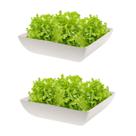 2un Saladeira Quadrada 1,4 Lt Travessa Petisqueira Bege