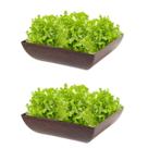 2un Saladeira Quadrada 1,4 Lt Travessa Petisqueira Marrom Es