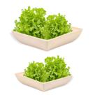 2un Saladeira Quadrada 2,9 Lt Travessa Petisqueira Bege
