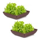 2un Saladeira Quadrada 2,9 Lt Travessa Petisqueira Marrom Es