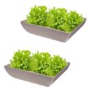 2un Saladeira Quadrada 2,9 Lt Vasilha Petisqueira Cinza