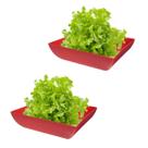 2un Saladeira Quadrada 2,9 Lt Vasilha Petisqueira Vermelha