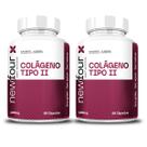 2x Colágeno Tipo 2 40mg Puro 60 Capsulas 400mg NewFour
