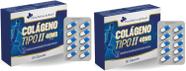 2x Colágeno Tipo 2 Blister 400Mg 60 Caps Flora Nativa 2x Colágeno Tipo 2 Blister 400Mg 60 Caps Flora Nativa