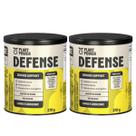 2x Defense Imunidade Limão E Gengibre Plant Power 270g