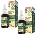 2x Extrato De Própolis Propomax Sem Álcool 30ml Apis Flora