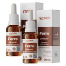 2x Ferro Bisglicinato Ydrossolv Yosen Framboesa 30ml