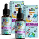 2x Foco Kids Em Gotas Magnesio B1 B12 Selenio Zinco Sabor Morango 30ml Ecomev