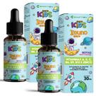2x Imuno Kids Em Gotas Vit B6 B9 B12 A D C Zinco Sabor Morango 60ml Ecomev
