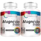 2x Magnésio Quelato 90 Cápsulas 500mg - Flora Nativa do Brasil 2x Magnésio Quelato 90 Cápsulas 500mg - Flora Nativa do Brasil