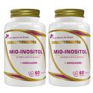 2x Mio-Inositol (Mio-Inositol + associações) 500Mg 60 Caps Flora Nativa