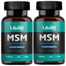 2X Msm Metil Sulfonil Metano 500mg 60 Cápsulas - Uvits Sabor Sem Sabor 2X Msm Metil Sulfonil Metano 500mg 60 Cápsulas - Uvits Sabor Sem Sabor