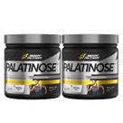 2x Palatinose 100% Pura Body Action 300g - 2x Palatinose 100% Pura Body Action 300g -