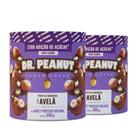 2x Pasta De Amendoim Avelã C/Whey Isolado 650g-Dr Peanut
