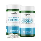 2X Picolinato de Cromo 250mcg Rendimento 120 dias Ayeko 2X Picolinato de Cromo 250mcg Rendimento 120 dias Ayeko