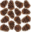 2X Pinha De Natal Enfeite 20Uni Pinus Naturais + 2Mts De Sis