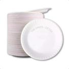 2X Prato Descartável Refeição Festa Isopor Almoçochurrasco 1