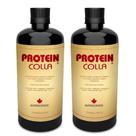 2X Proteincolla Colágeno Hidrolisado 500ml - Suplemento Nutricional da Nutriscience