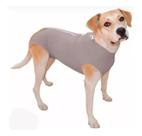 2X Roupa Cirúrgica Cães Femea Ou Macho Castração Nº 07 Ao 1