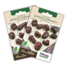 2x Semente de Pimenta Habanero Chocolate TOPSEED