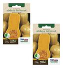 2x Sementes Abóbora Menina Creme Butternut Para Hortas Mudas