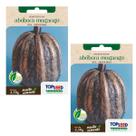 2X Sementes Abóbora Mogango TOPSEED 2X Sementes Abóbora Mogango TOPSEED