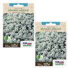 2X Sementes Alyssum Tapete De Neve (Odorant) TOPSEED