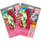 2X Sementes Antirrhinum Boca-de-Leão Anã (Sortida)Super ISLA 2X Sementes Antirrhinum Boca-de-Leão Anã (Sortida)Super ISLA