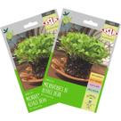 2X Sementes Brotos Microverdes de Alface Deva Super ISLA 2X Sementes Brotos Microverdes de Alface Deva Super ISLA