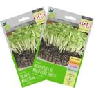 2X Sementes Brotos Microverdes de Manjericão Shanti Super 2X Sementes Brotos Microverdes de Manjericão Shanti Super