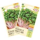 2X Sementes Brotos Microverdes de Rabanete Indra ISLA