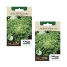 2X Sementes Chicória Lisa (Escarola) TOPSEED