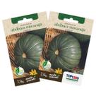 2X Sementes de Abóbora Moranga Coroa TOPSEED