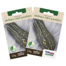 2X Sementes de Abóbora Paulista (Mini) TOPSEED