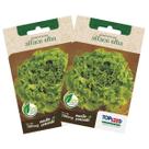 2X Sementes de Alface Crespa Elba TOPSEED 2X Sementes de Alface Crespa Elba TOPSEED