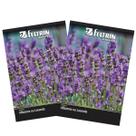 2X Sementes de Alfazema ou Lavanda FELTRIN