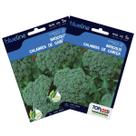 2X Sementes de Brócolis Calabrês de Cabeça Blueline TOPSEED