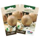 2X Sementes de Cebola Texas Early Grano 502 TOPSEED