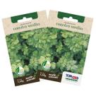2X Sementes de Coentro Verdão TOPSEED 2X Sementes de Coentro Verdão TOPSEED