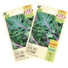 2X Sementes de Couve Kale Califórnia ISLA