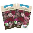 2X Sementes de Cravina Barbatus (Sortida) TOPSEED