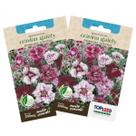 2X Sementes de Cravina Gaiety Dobrada (Sortida) TOPSEED