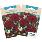 2X Sementes de Cravo Chabaud (Vermelho) TOPSEED 2X Sementes de Cravo Chabaud (Vermelho) TOPSEED