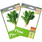2X Sementes de Espinafre Híbrido Pina Super ISLA