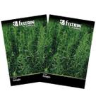 2X Sementes de Estragão FELTRIN 2X Sementes de Estragão FELTRIN