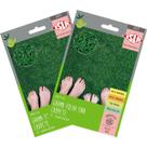 2X Sementes de Grama Carpete (Folha Fina) SUPER ISLA