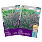 2X Sementes de Lavanda Verdadeira Alfazema (0,6g) Super ISLA