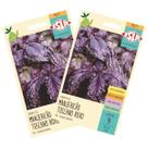 2X Sementes de Manjericão Toscano (Roxo) ISLA